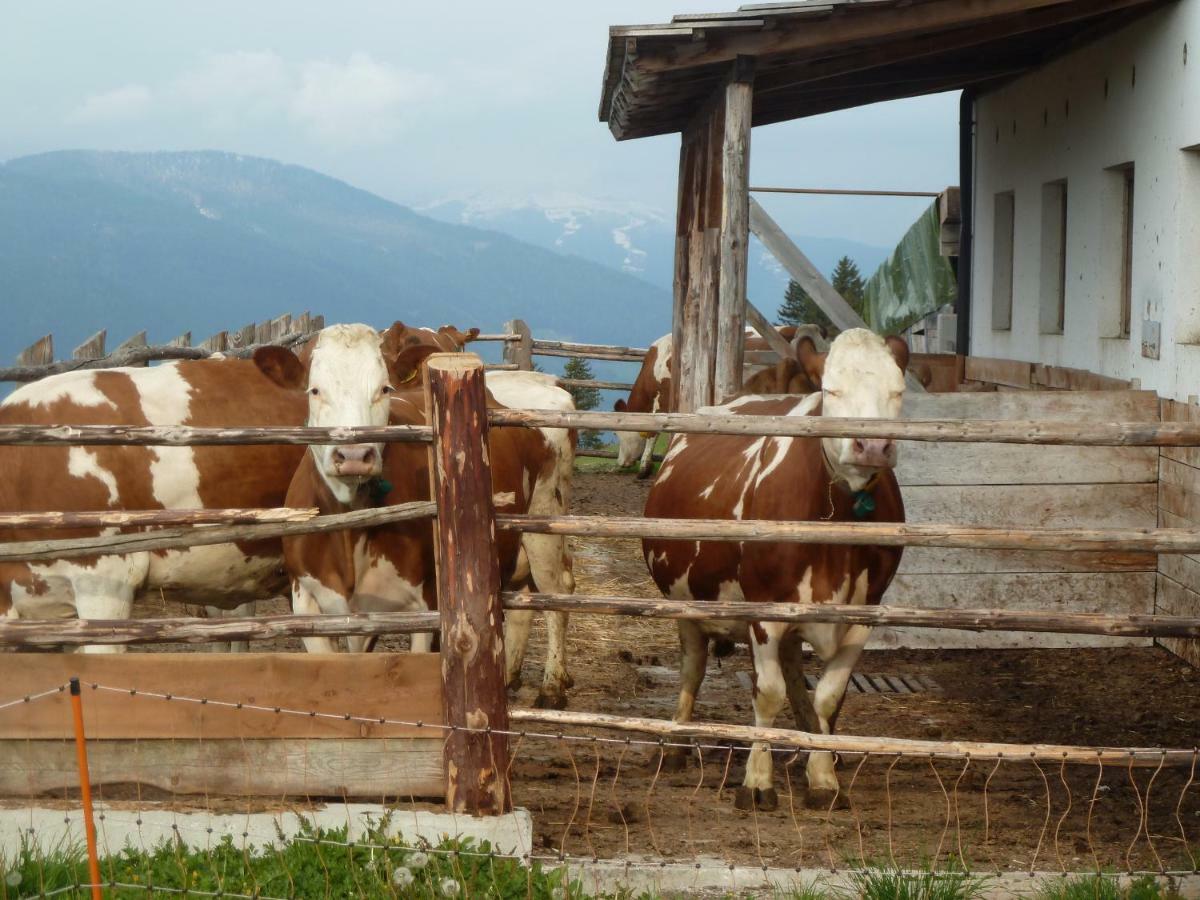 Marerhof Appartement Toblach Buitenkant foto