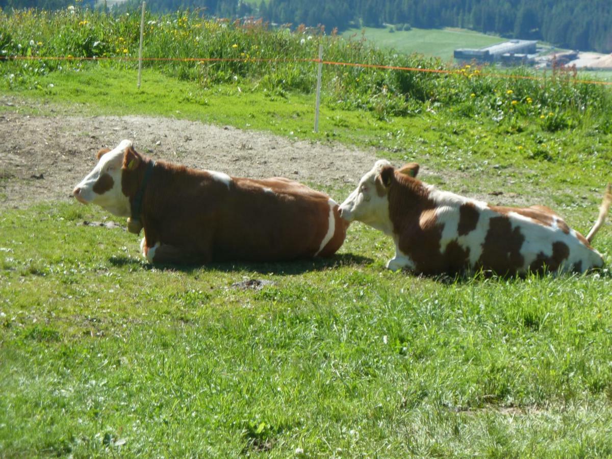 Marerhof Appartement Toblach Buitenkant foto
